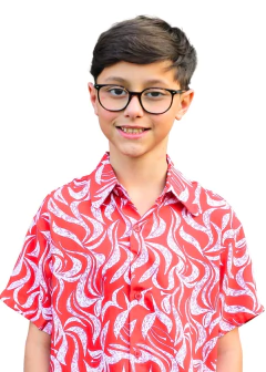 Camisa Havaiana, Floral, Estampada Infantil Manga Curta