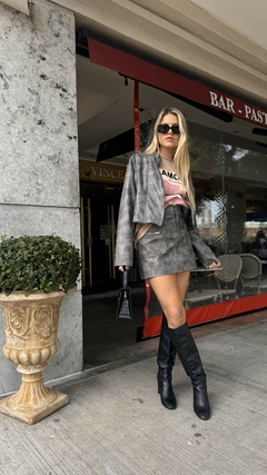 CONJUNTO ACID GREY