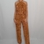 Imagem do Conjunto Feminino Longo Cropped e Calça Pantalona Plissado