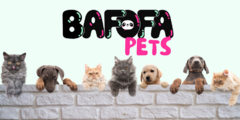 Banner da categoria Bafofa PET