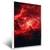 Imagem do Quadro Cosmos Nebulosa Vermelha