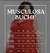 REM015- MUSCULOSA BUCHE TALLE - tienda online