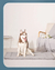 Caminha para cachorro antiderrapante Hero Dog - comprar online