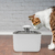 Fonte Bebedouro Gatos Cães Automático Com Filtro USB Bivolt 2,5 Litro