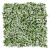 Jardin Vertical interior 50x50