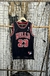 NBA Bulls 23