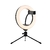 Ring Light 8 Polegadas 20cm com Tripé mesa - Digital RK