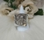Anillo Ángel Cuadrado Grande En Plata 925 - comprar online