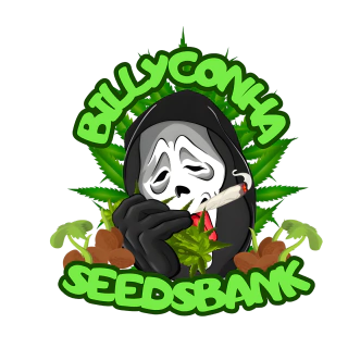 Billy seeds bank Colecionáveis