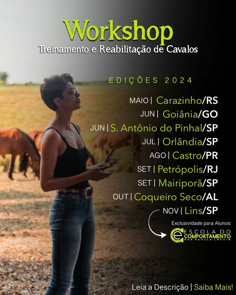 Carrossel 1
