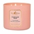Vela 3 Pavios Champagne Toast - Bath & Body Works