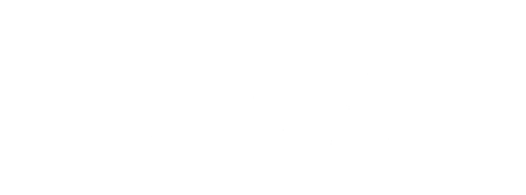 Techno Model