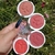 BLUSH ENJOY SINGLE MAHAV