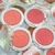 BLUSH CAMALEÃO VEGANO PLAYBOY - TROPICALIA