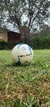 Pelotas Penalty