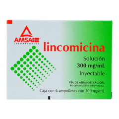 LINCOMICINA 300MG/ML(LANSOMIDIN)6AMP - Farmacia dcm