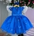 Vestido Marie Azul Royal Jardim Encantado Renda Realeza - Little Sky Store