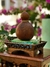 Conjunto Centro de mesa em madeira + cabaça - Volà Gallery