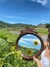 Espelho Girassol em Jacaranda - comprar online