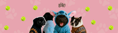 Banner de la categoría Productos