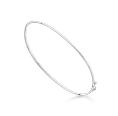 Bracelete Rigido Liso