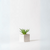 Planta artificial Suculenta 4 Caro Silva Bertolo