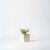Planta artificial Suculenta 4 Caro Silva Bertolo