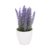 Plantin lavanda artificial con fondo transparante