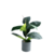 Planta artificial color verde oscuro
