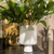 Jarron maceta moderno color blanco con planta en su interior