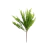 Planta Helecho 2
