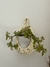 CESTO HUEVITO PEQUEÑO (TOTORA) - Al punto Handmade