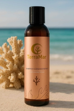 Shampoo Condicionante 200ml - comprar online