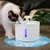 Fonte de água para gatos - Master Promos