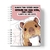 caderno capivara 