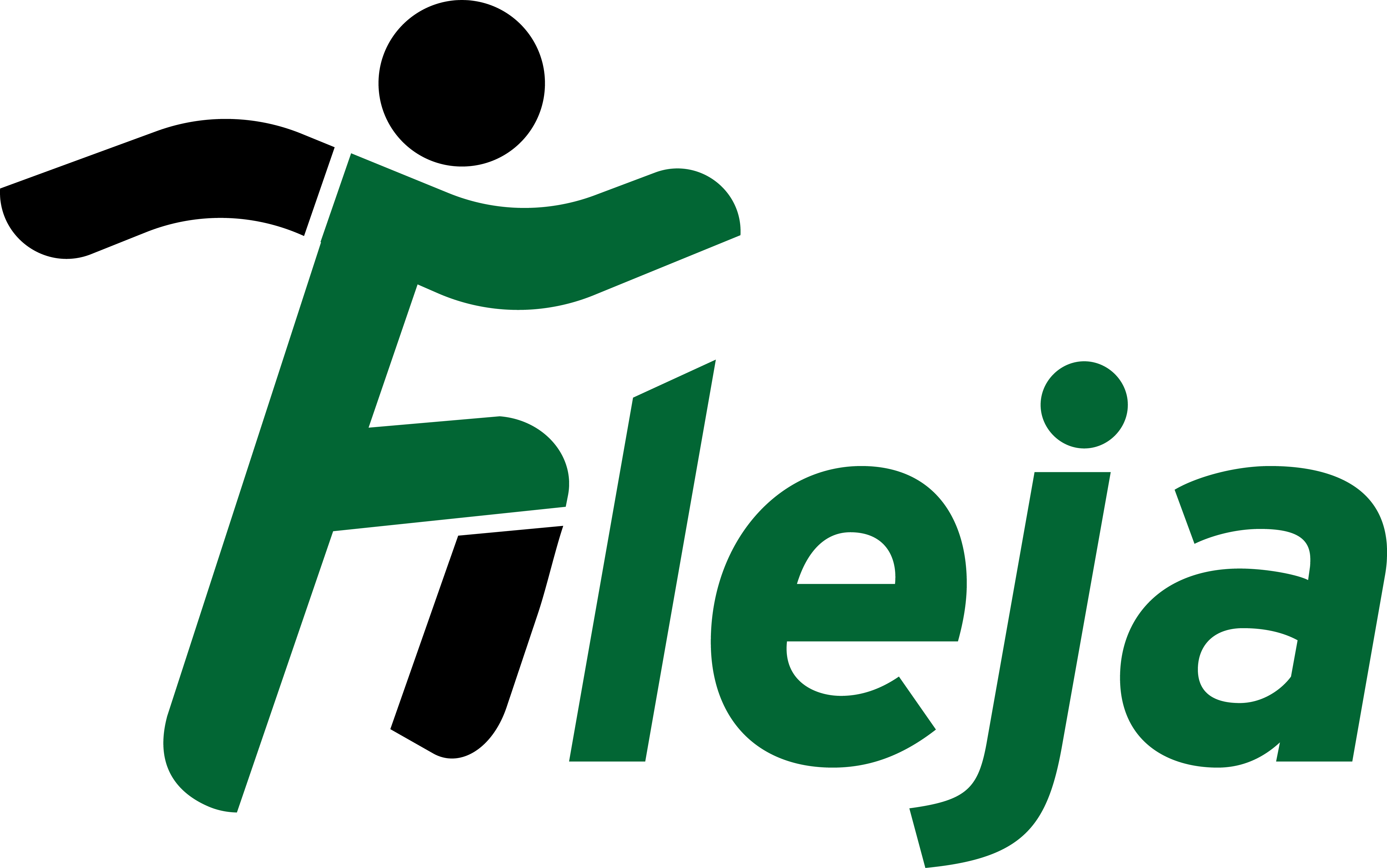 Fleja