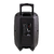 Parlante Kanji Acid Fluid 500w - comprar online