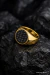 Anillo Dorado en Acero Inoxidable 33-042