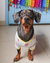 T-shirt Smile para Pet - comprar online