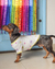 T-shirt Smile para Pet na internet