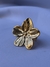 Cataleya - Accua  accesorios