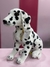 Peluche "Perro" en internet
