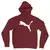 Blusa Moletom Puma Com Capuz Premium - comprar online
