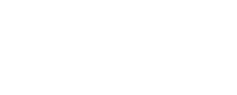 Andina