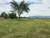 Jujuy al 4500 - comprar online