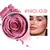 Blush Rosa Glam Beauty - porque você merece flores todos os dias!