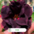 Rosa do Deserto P200