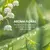 Perfume Girlink - tienda online