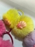 PAR DE XUXINHA POM POM na internet