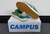 ADIDAS CAMPUS VERDE/BEIGE - DY STEFANO
